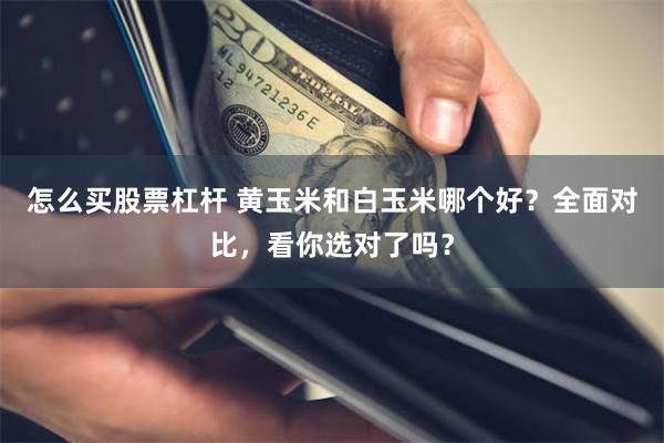 怎么买股票杠杆 黄玉米和白玉米哪个好？全面对比，看你选对了吗？