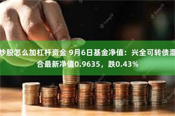 炒股怎么加杠杆资金 9月6日基金净值：兴全可转债混合最新净值