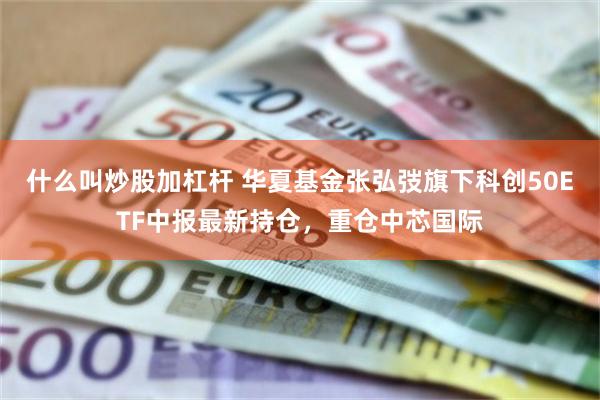 什么叫炒股加杠杆 华夏基金张弘弢旗下科创50ETF中报最新持