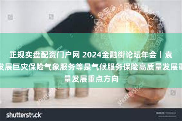 正规实盘配资门户网 2024金融街论坛年会丨袁佳双：发展巨灾