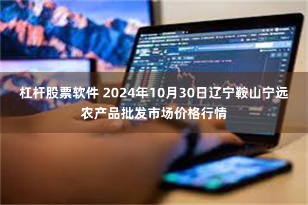 杠杆股票软件 2024年10月30日辽宁鞍山宁远农产品批发市