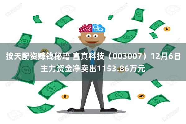 按天配资赚钱秘籍 直真科技（003007）12月6日主力资金净卖出1153.86万元