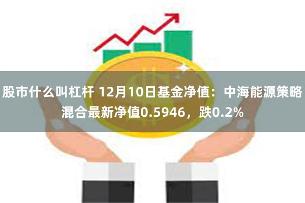 股市什么叫杠杆 12月10日基金净值：中海能源策略混合最新净