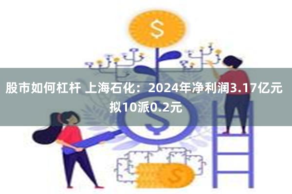 股市如何杠杆 上海石化：2024年净利润3.17亿元 拟10