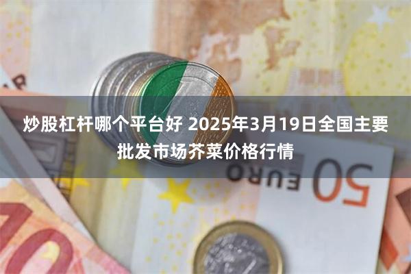 炒股杠杆哪个平台好 2025年3月19日全国主要批发市场芥菜